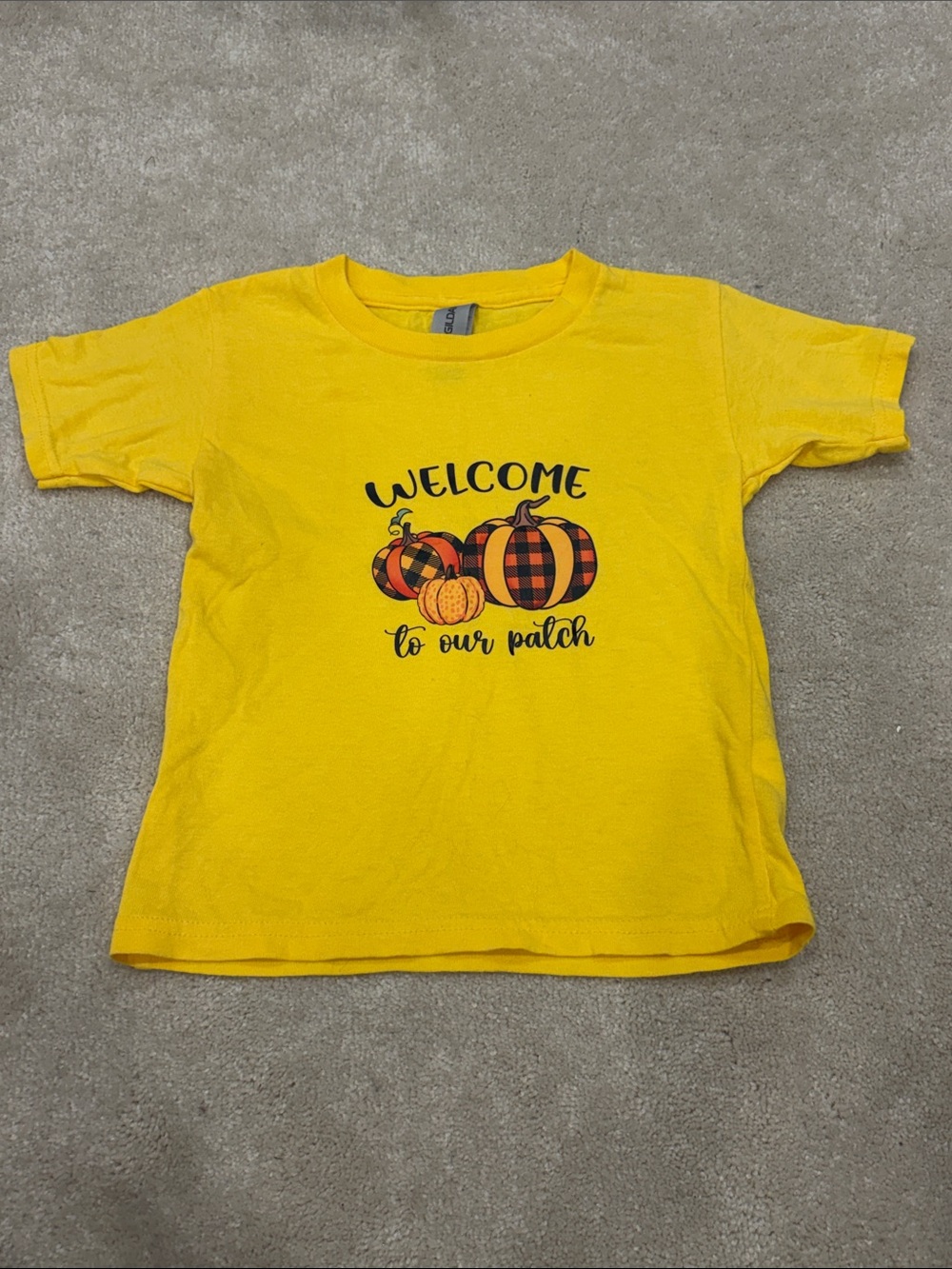 🦄5/25 Home made Pumpkin shirt